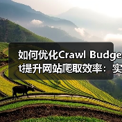 如何优化Crawl Budget提升网站爬取效率：实战指南