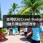 如何优化Crawl Budget提升网站爬取效率：实战指南