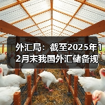 2025年中国外汇储备为何逆势上涨?-启闻网 2025年中国外汇储备为何逆势上涨?-启闻网