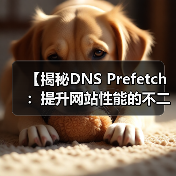 DNS Prefetch如何提升网站性能?揭秘关键优化技巧-启闻网 DNS Prefetch如何提升网站性能?揭秘关键优化技巧-启闻网