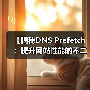 DNS Prefetch如何提升网站性能?揭秘关键优化技巧-启闻网 DNS Prefetch如何提升网站性能?揭秘关键优化技巧-启闻网