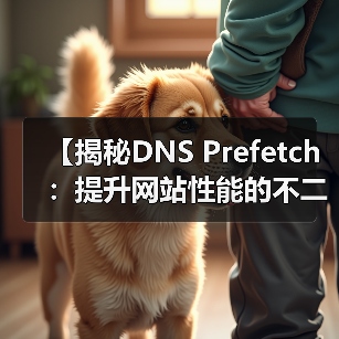 DNS Prefetch如何提升网站性能?揭秘关键优化技巧-启闻网 DNS Prefetch如何提升网站性能?揭秘关键优化技巧-启闻网