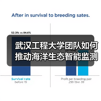 武汉工程大学团队如何推动海洋生态智能监测技术突破? 武汉工程大学团队如何推动海洋生态智能监测技术突破?