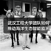 武汉工程大学团队如何推动海洋生态智能监测技术突破? 武汉工程大学团队如何推动海洋生态智能监测技术突破?
