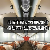 武汉工程大学团队如何推动海洋生态智能监测技术突破? 武汉工程大学团队如何推动海洋生态智能监测技术突破?