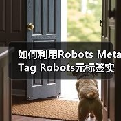 Robots Meta Tag页面级抓取控制提升SEO效率-启闻网 Robots Meta Tag页面级抓取控制提升SEO效率-启闻网