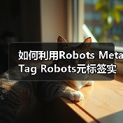 Robots Meta Tag页面级抓取控制提升SEO效率-启闻网 Robots Meta Tag页面级抓取控制提升SEO效率-启闻网