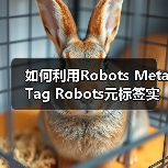 Robots Meta Tag页面级抓取控制提升SEO效率-启闻网 Robots Meta Tag页面级抓取控制提升SEO效率-启闻网