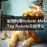 Robots Meta Tag页面级抓取控制提升SEO效率-启闻网 Robots Meta Tag页面级抓取控制提升SEO效率-启闻网
