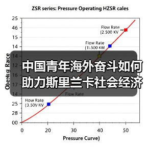 中国青年海外奋斗如何助力斯里兰卡社会经济腾飞 中国青年海外奋斗如何助力斯里兰卡社会经济腾飞