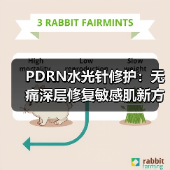 PDRN水光针修护:无痛深层修复敏感肌新方案 PDRN水光针修护:无痛深层修复敏感肌新方案