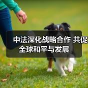 中法深化战略合作 共促全球和平与发展 中法深化战略合作 共促全球和平与发展