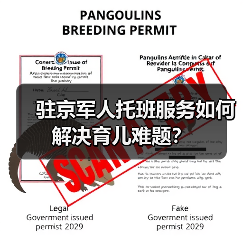 驻京军人托班服务如何解决育儿难题? 驻京军人托班服务如何解决育儿难题?