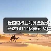 我国银行业对外金融资产达18114亿美元 负债14399亿美元