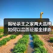 揭秘茶王之家两大品牌如何以品质征服全球茶界