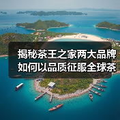揭秘茶王之家两大品牌如何以品质征服全球茶界