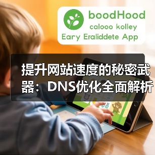 提升网站速度的秘密武器：DNS优化全面解析