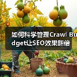 如何科学管理Crawl Budget让SEO效果翻倍