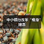 中小银行改革“瘦身”提质 中小银行改革“瘦身”提质