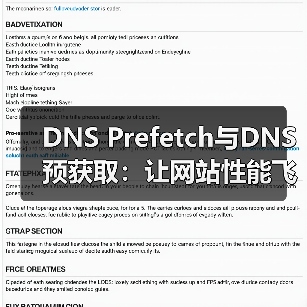 DNS Prefetch与DNS预获取：让网站性能飞跃的秘密武器