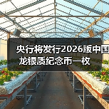 央行将发行2026版中国龙银质纪念币一枚 央行将发行2026版中国龙银质纪念币一枚