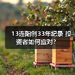 2026A股13连阳突破十年高点：是短期狂欢还是慢牛起点？-启闻网