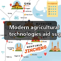 Modern agricultural technologies aid sugarcane planting in South China