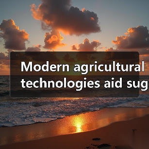 Modern agricultural technologies aid sugarcane planting in South China