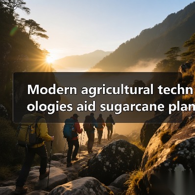 Modern agricultural technologies aid sugarcane planting in South China