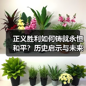正义胜利如何铸就永恒和平？历史启示与未来方向