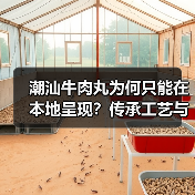 潮汕牛肉丸为何只能在本地呈现？传承工艺与品质密码