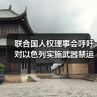 联合国人权理事会呼吁对以色列实施武器禁运