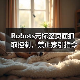 Robots元标签页面抓取控制，禁止索引指令怎么用？