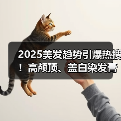 2025美发趋势引爆热搜！高颅顶、盖白染发膏搜索量暴涨10倍