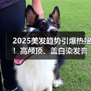 2025美发趋势引爆热搜！高颅顶、盖白染发膏搜索量暴涨10倍