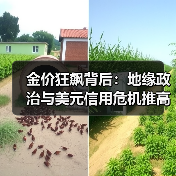 金价狂飙背后：地缘政治与美元信用危机推高黄金？
