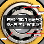 云南如何以生态与数字技术守护”明珠”地位？