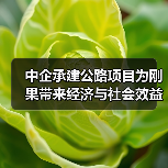 中企承建公路项目为刚果带来经济与社会效益双赢