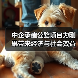 中企承建公路项目为刚果带来经济与社会效益双赢
