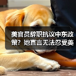 美官员辞职抗议中东政策？她直言无法忍受美国支持以色列