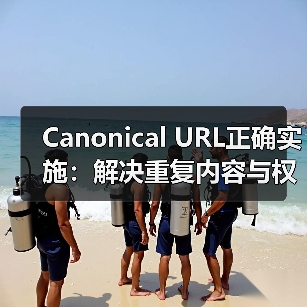 规范URL如何集中权重？SEO实战全解析-启闻网