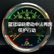 蓝冠噪鹛为何牵动中法两国科学家的心？-启闻网