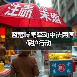 蓝冠噪鹛为何牵动中法两国科学家的心？-启闻网