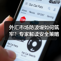 外汇市场防波堤如何筑牢？专家解读安全策略