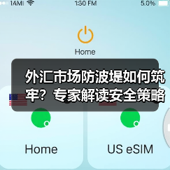 外汇市场防波堤如何筑牢？专家解读安全策略