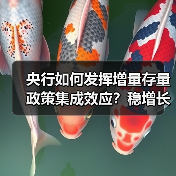 央行如何发挥增量存量政策集成效应？稳增长关键在哪？