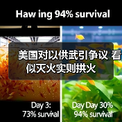 美国对以供武引争议 看似灭火实则拱火