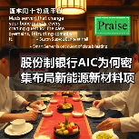 股份制银行AIC为何密集布局新能源新材料项目？