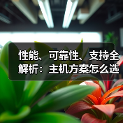 如何科学选择主机方案？性能可靠性支持全解析-启闻网