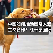 中国如何推动全球人道主义合作？红十字国际委员会最新表态-启闻网
